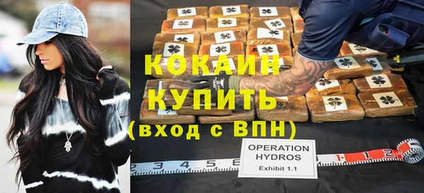 мдпв Осташков