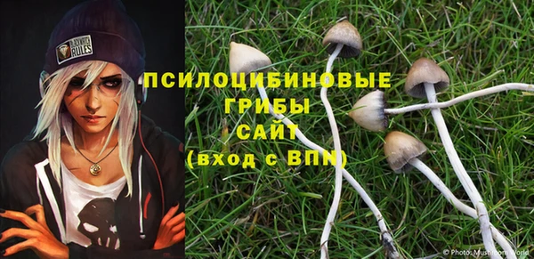 мдпв Осташков