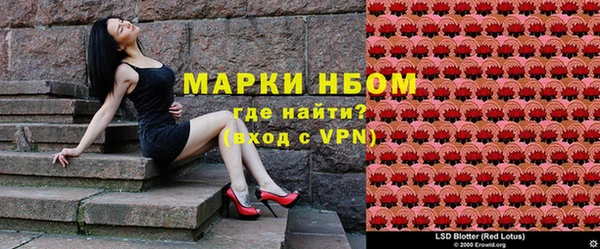 мдпв Осташков