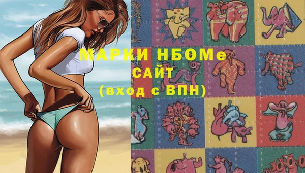 мдпв Осташков