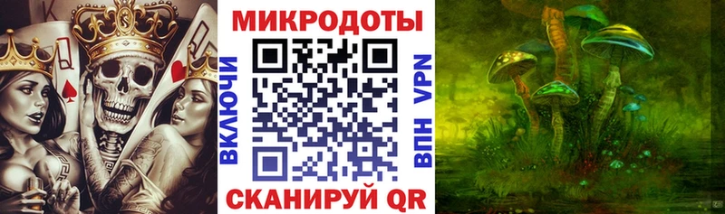 Галлюциногенные грибы Psilocybe Ладушкин